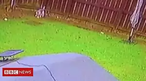 Garden 'dog poisoning' caught on CCTV