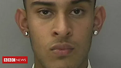 Boy, 17, jailed for model's murder