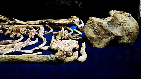 Ancient human ancestor 'Little Foot' unveiled