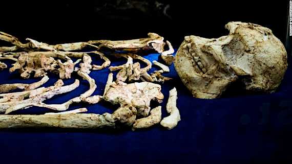 Ancient human ancestor 'Little Foot' unveiled