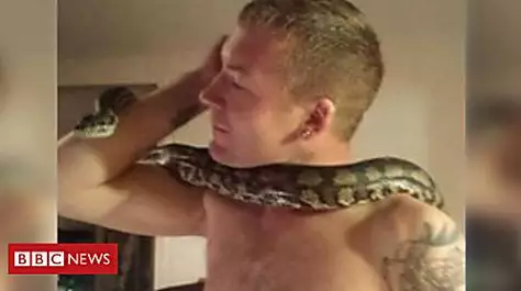 Snake owner killed by his pet python