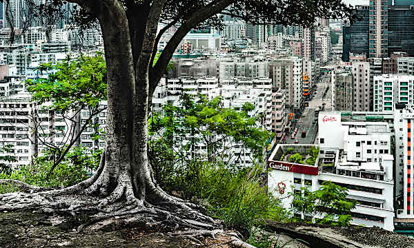 登山好時節，踏上香港人氣遠足徑！香港的遠足徑就在巿區旁邊，讓您輕鬆征服群山！