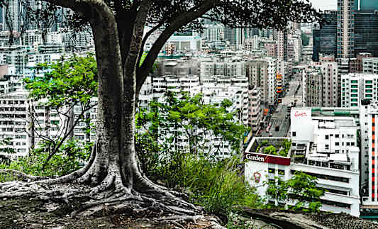 登山好時節，踏上香港人氣遠足徑！香港的遠足徑就在巿區旁邊，讓您輕鬆征服群山！