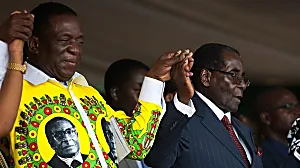 Is the 'crocodile' behind Zimbabwe crisis?