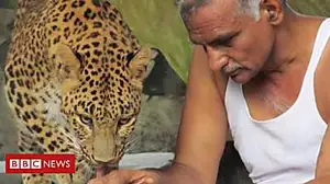 The man who shares his house with leopards and bears