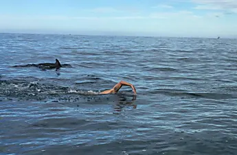 [Photos] Dolphins Surround Swimmer; When He Looks Down He Understands Why