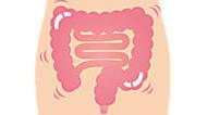 汚れた大腸を左右するのは乳酸菌よりもアレが重要