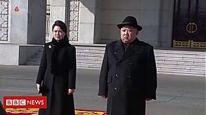 Kim Jong-un and wife attend military parade