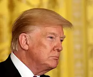 Bernstein: We're in a constitutional crisis