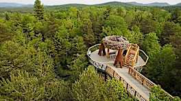 See Where Your Horoscope Says You Should Go on Vacation