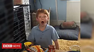 Boy's amazing reaction to Wembley prize