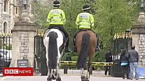 Police horses prepare for royal wedding