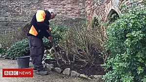 Gardeners unearth treasure at historical site