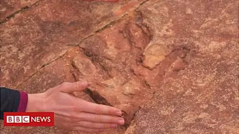 Tourists throw dinosaur tracks in US lake Tourists throw dinosaur tracks in US lake