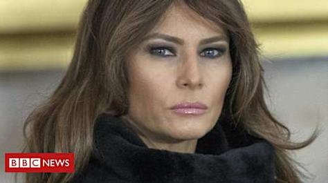 How did Melania Trump get an 'Einstein visa'?