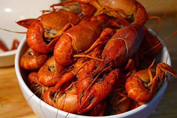 Crawfish: 15 Things You Didn't Know