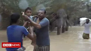 Yemen's Socotra battered by cyclone