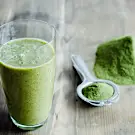 Moringa Powder Benefits