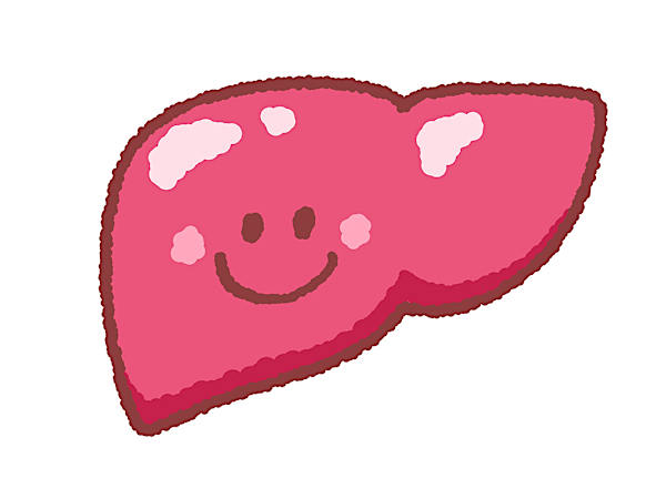 スイーツも肝機能低下の要因!?今すぐできる肝臓ケアの秘訣