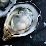 A Woman Died From 'Flesh-Eating' Bacteria After Eating Raw Oysters. Here's What You Need to Know