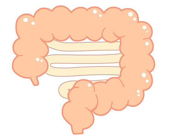 腸内フローラを整えるとお通じが改善?その方法とは