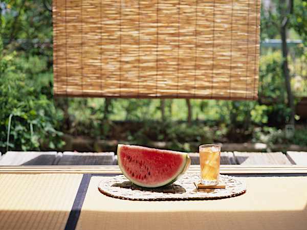 簾(すだれ)と葦簀(よしず)の違いや使い方、効果