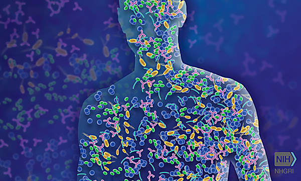 Your Microbiome is an 'Essential Organ’
