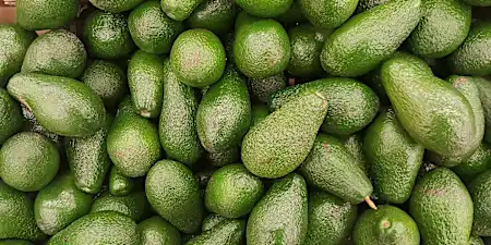 Las propiedades del aguacate: bueno para la salud, malo para el planeta