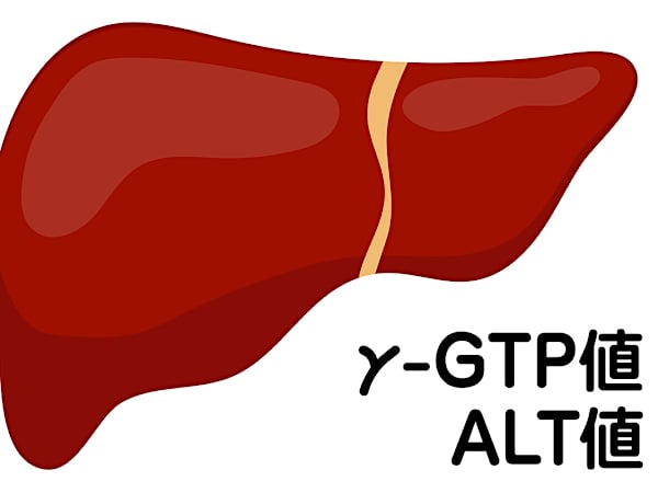 日本人の肝機能異常は30年前の3倍!肝臓の解毒力を高める成分とは