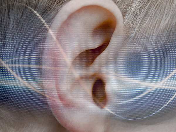 １９６７年以前に生まれて、補聴器のない人は、ぜひお読みください。