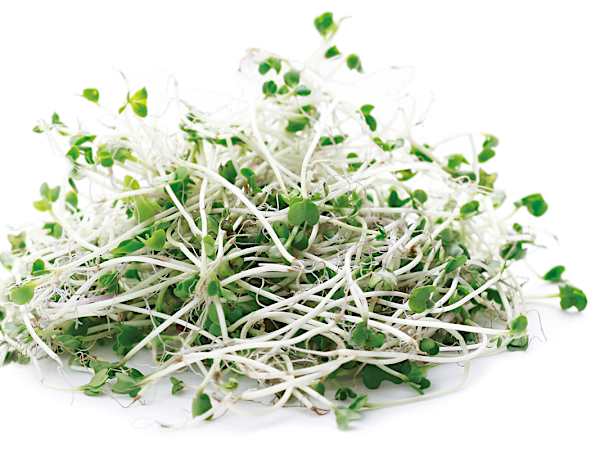 日本人の肝機能異常は30年前の3倍！肝臓の解毒力を高める成分とは