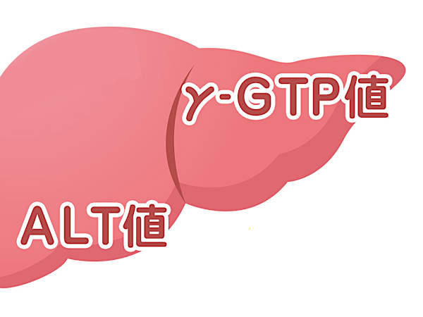 肝臓を酷使するとどうなる？肝臓の解毒力を高める成分とは