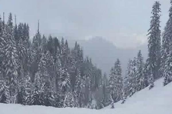 Snowmobiler dies near Whistler after stopping on a pack of snow and falling over 200 feet