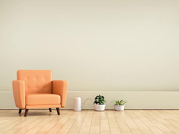 「プチ」ミニマリストがやっている片付け術って?