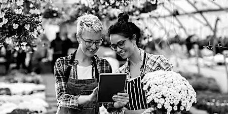 Tu trabajo donde y cuando quieras