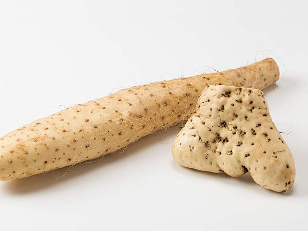 ［山芋］長芋や大和芋の特徴と、栄養や下ごしらえ＆保存のコツ