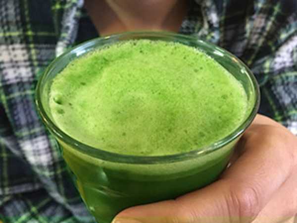 朝、起き抜けの一杯はコレ！話題の酵素を生きたままたっぷり摂れる意外な方法