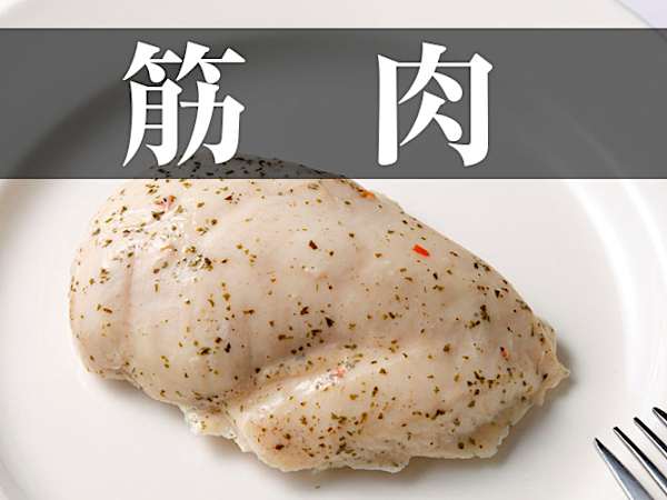 運動不足だけの問題ではない筋力低下、年齢と筋肉量の関係とは？