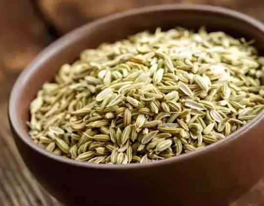 Some Lesser known fennel seeds benefits - FitnessRoar
