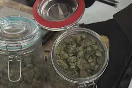 Report pegs cannabis costs to Edmonton taxpayers at as much as $6M